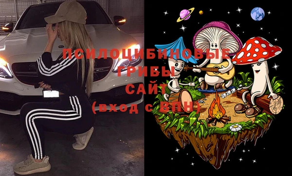 крисы Абаза