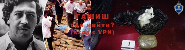 крисы Абаза