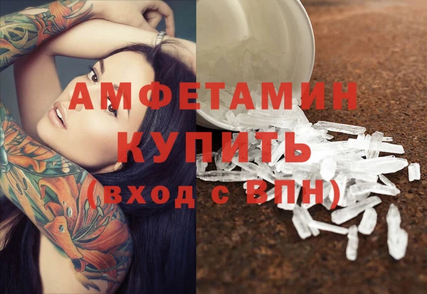 крисы Абаза