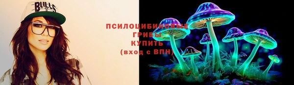 крисы Абаза