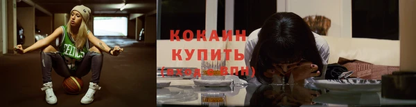 крисы Абаза