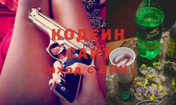 крисы Абаза