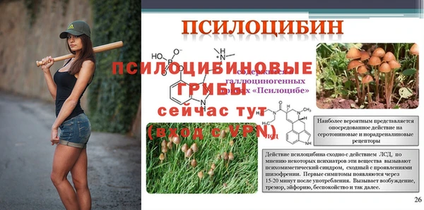 бошки Абдулино