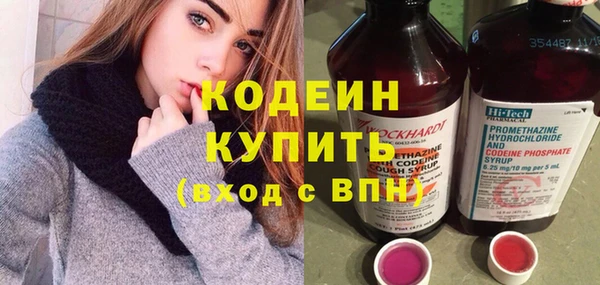 крисы Абаза