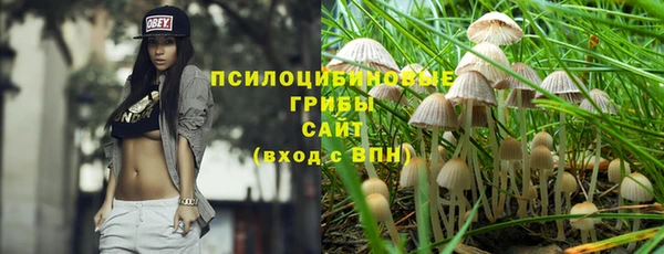 крисы Абаза