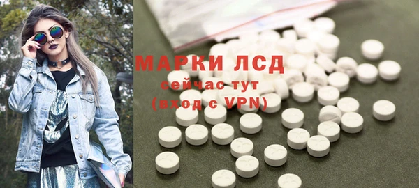 крисы Абаза