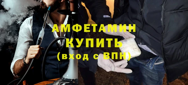 крисы Абаза