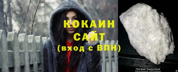 крисы Абаза