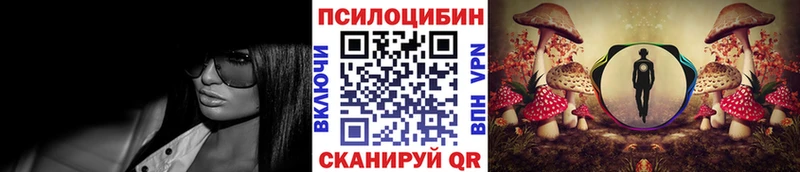 кракен как войти  Сальск  Псилоцибиновые грибы прущие грибы  даркнет сайт 