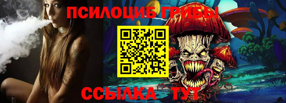 Сальск  Галлюциногенные грибы Cubensis  Вход с VPN  Галлюциногенные грибы Psilocybe 